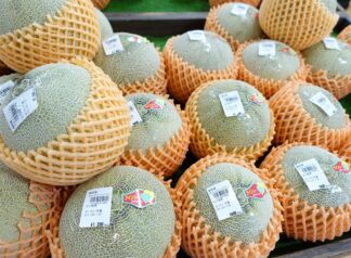 メロンフェア🍈７月中旬頃からアールスメロンに変わります！