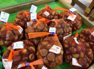 店舗の商品、秋めいてきました🍂