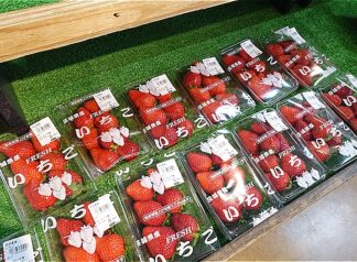 🌸店内にも春の足音が聞こえてきました